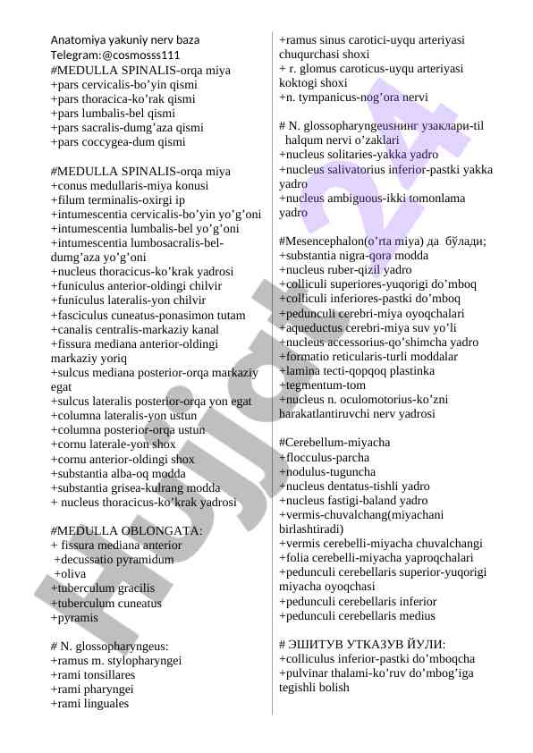 Medulla spinalis anatomy and functions