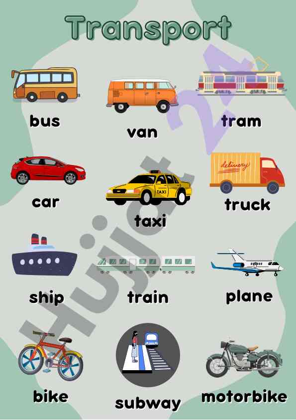 Transport turlari va ularning xususiyatlari