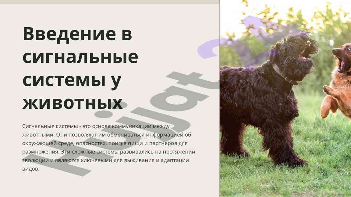 Введение в сигнальные системы у животных