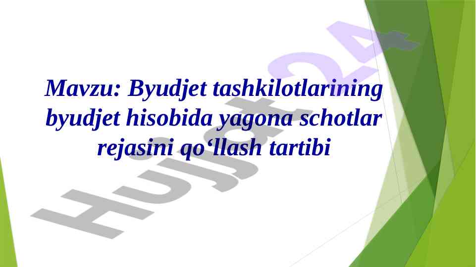 Byudjet tashkilotlari hisobi va tizimlari