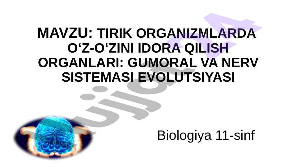 Tirik organizmda o‘z-o‘zini idora qilish tizimi