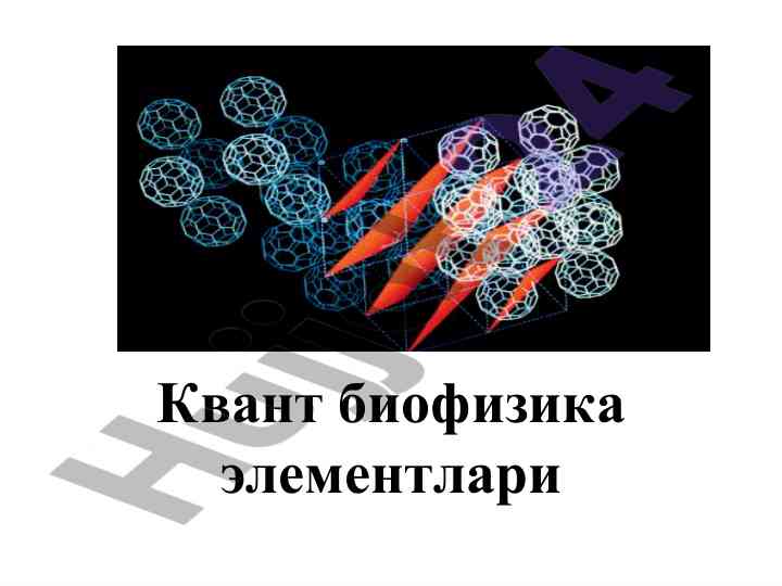 Kvant biophizika elementlari va fotojismonlik asoslari
