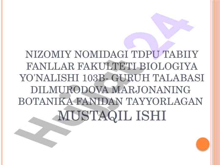 Novda metamorfozi va uning morphologik tuzilishi