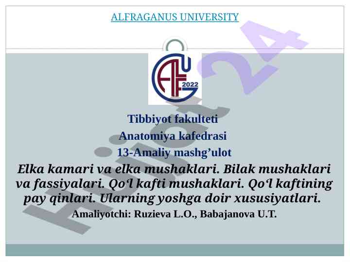 Elka mushaklari va ularning xususiyatlari