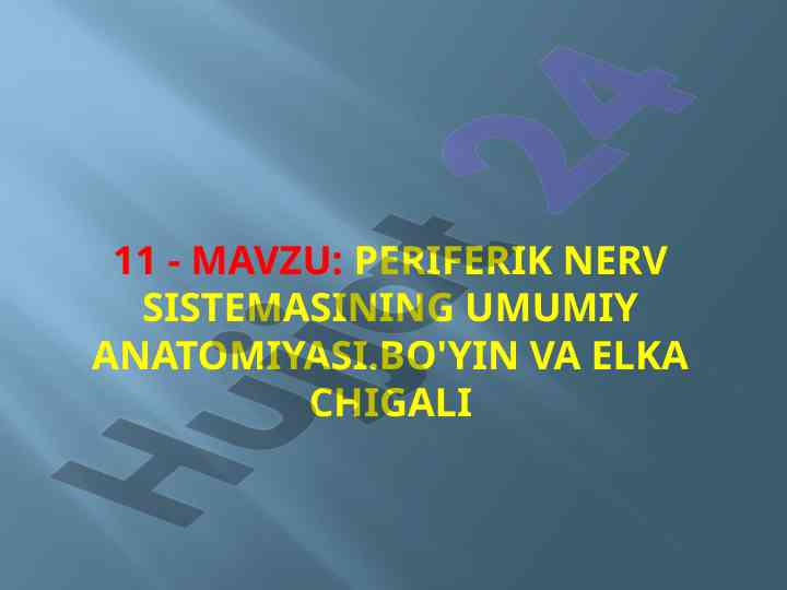 Periferik nerv sistemasining umumiy anatomiyasi