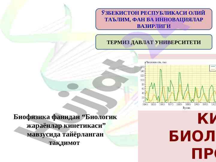Biologik jarayonlar kinetikasi taqdimoti