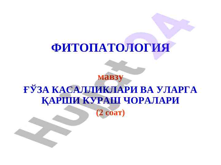 Ғўза касалликлари ва уларнинг диспозицияси