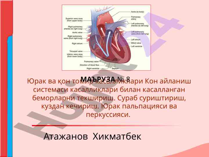Юрак ва қон томир касалликлари текширув методлари