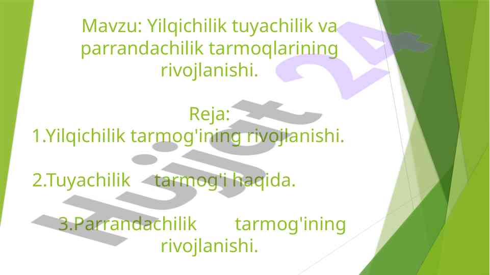 Yilqichilik tarmog'ining rivojlanishi va ahmiyati