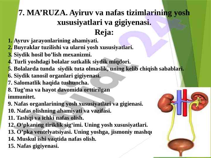 Nafas tizimlarining yosh xususiyatlari va gigiyenasi