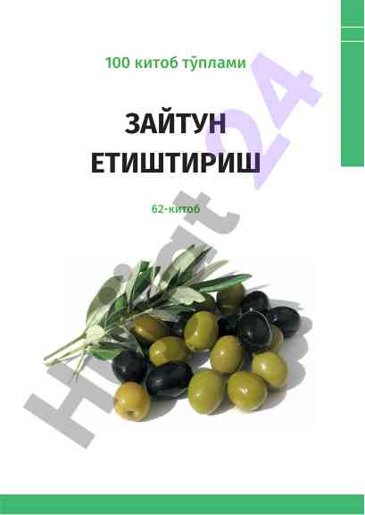 Зайтун етиштириш маҳсулотлари ҳосилдорлиги