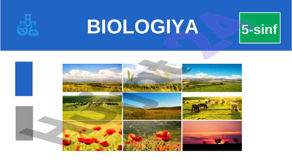 Biologiya 5-sinf mustahkamlash dersi