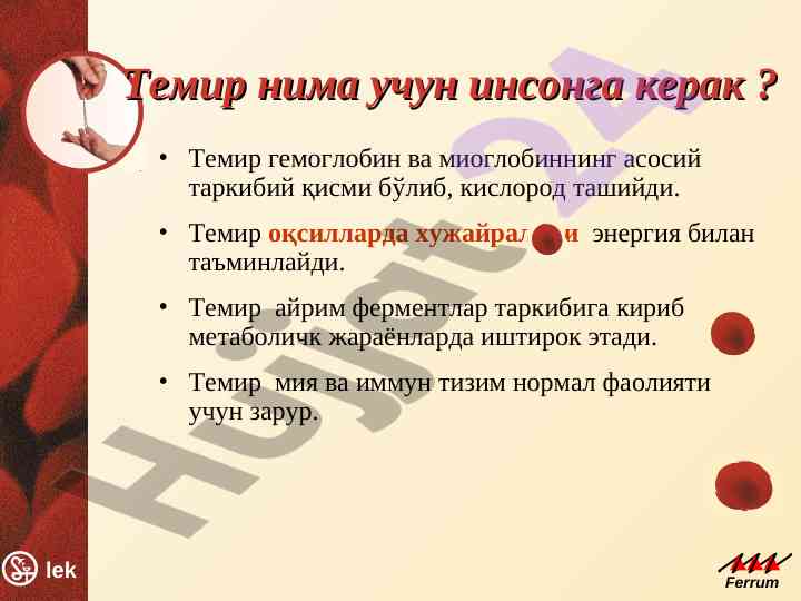Темирнинг инсон организмидаги ахамияти