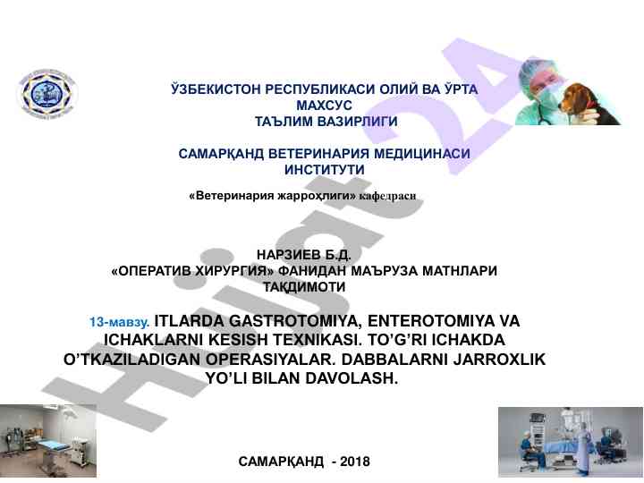 Veterinariya jarrohligi operativ xirurgiya ma'ruza matnlari