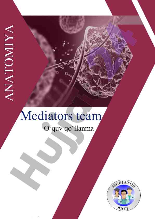 Anatomiyada to‘sh suyagi haqida ma'lumot