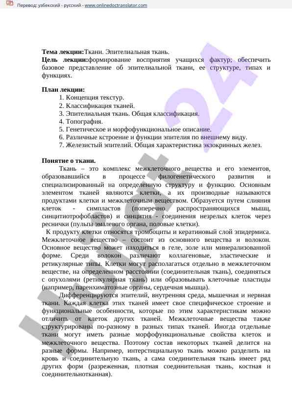 Эпителиальная ткань: структура и функции