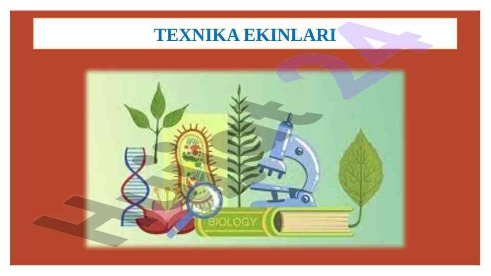 Texnika ekinlari haqida ma'lumotlar