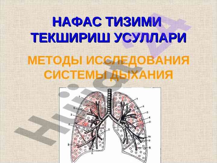 Методы исследования системы дыхания