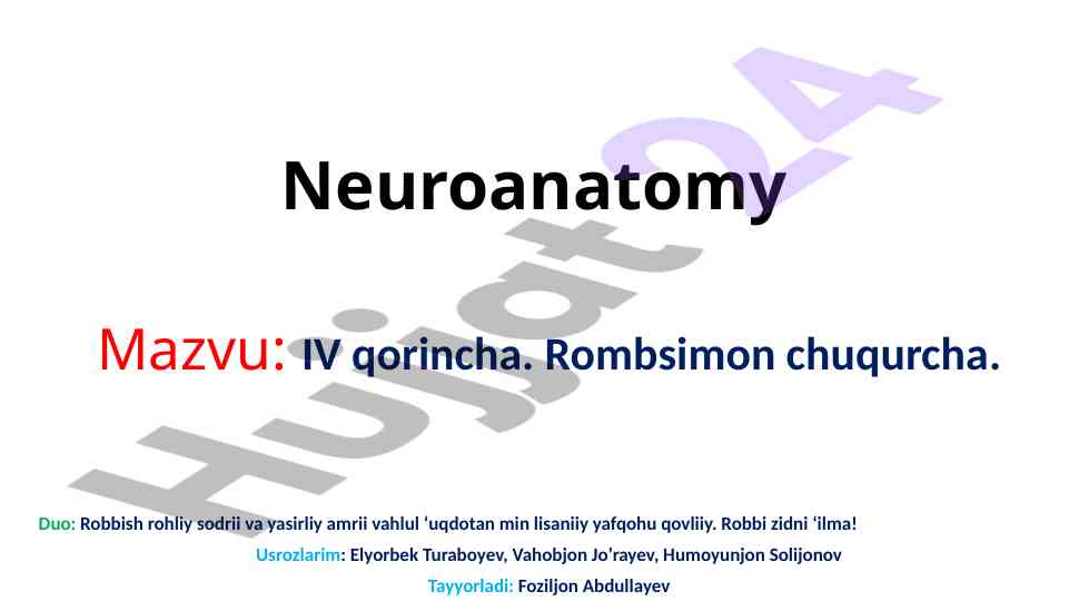 Iv qorincha rombsimon chuqurcha neuroanatomiyasi