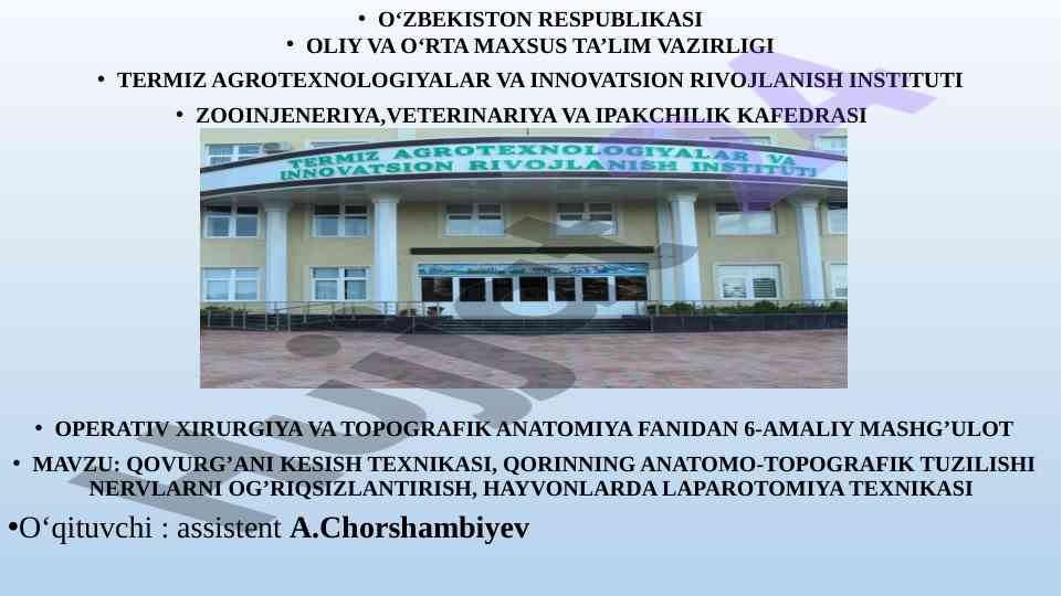 Qovurg‘ani kesish texnikasi va anatomik tuzilishi