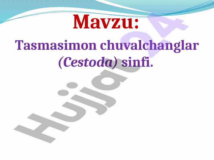 Tasmasimon chuvalchanglar sinfi va ularning xususiyatlari
