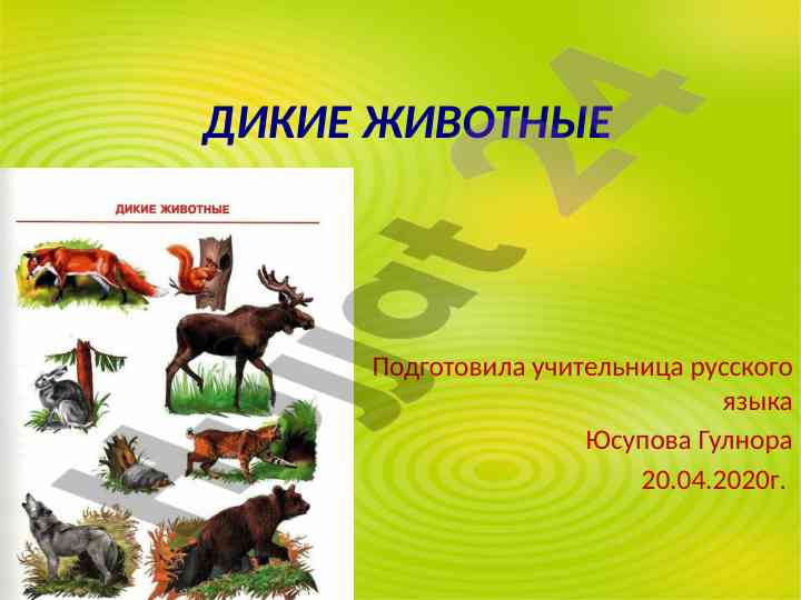 Дикие животные для обучения учителей