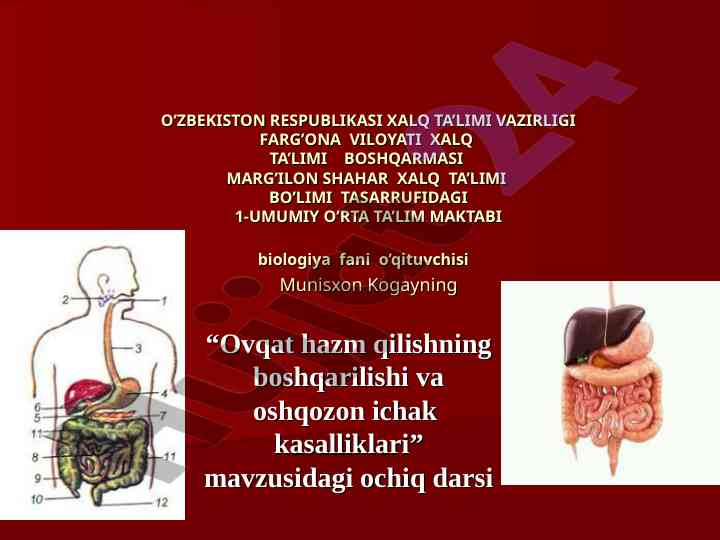 Ovqat hazm qilish boshqarilishi va kasalliklar