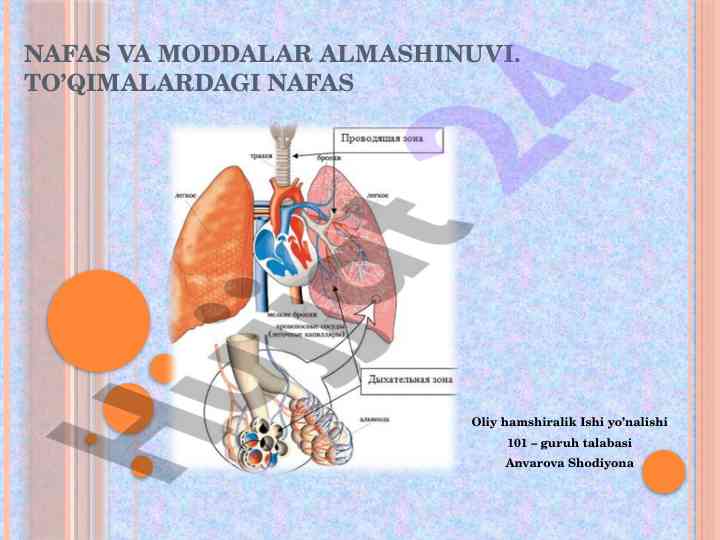 Nafas va moddalar almashinuvi bilan tanishtirish
