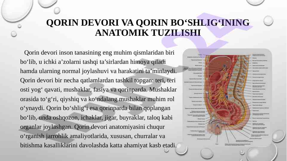 Shuri Muri qishlogi jinsiy aloqa barcha qismlari