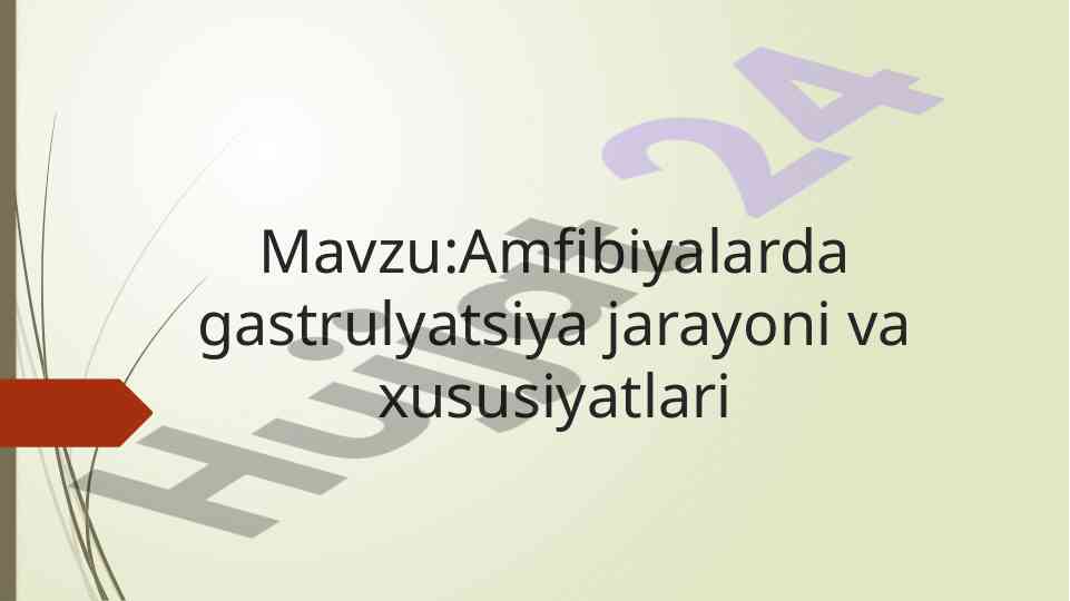 Amfibiyalarda gastrulyatsiya jarayoni va xususiyatlari