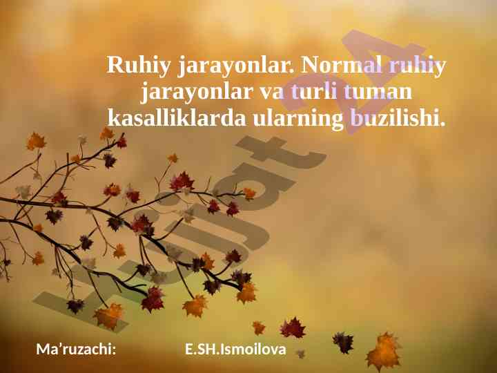 Ruhiy jarayonlar va sezgining asosiy bosqichlari