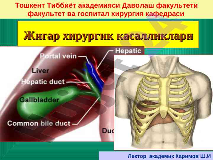 Jigar jarrohligi va tabiiy tashqi ta'sirlar