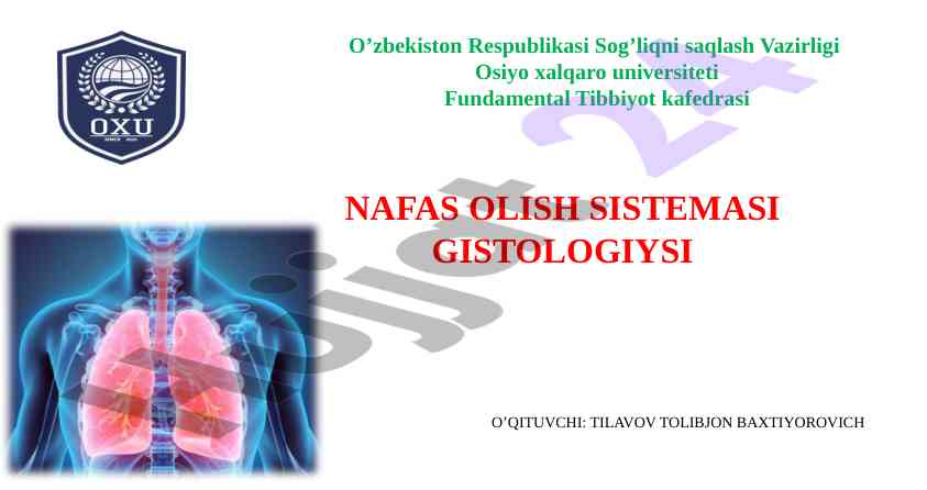Nafas olish sistemasi gistologiyasi o‘qitish rejasi