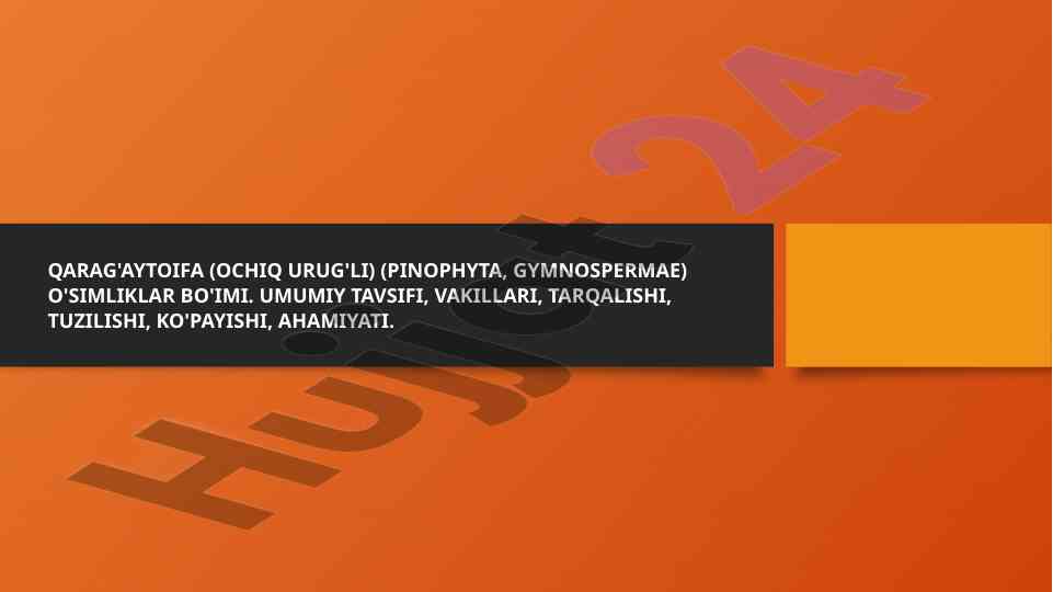 Qarag'aytoifa o'simliklar bo'imi tavsifi va ahamiyati