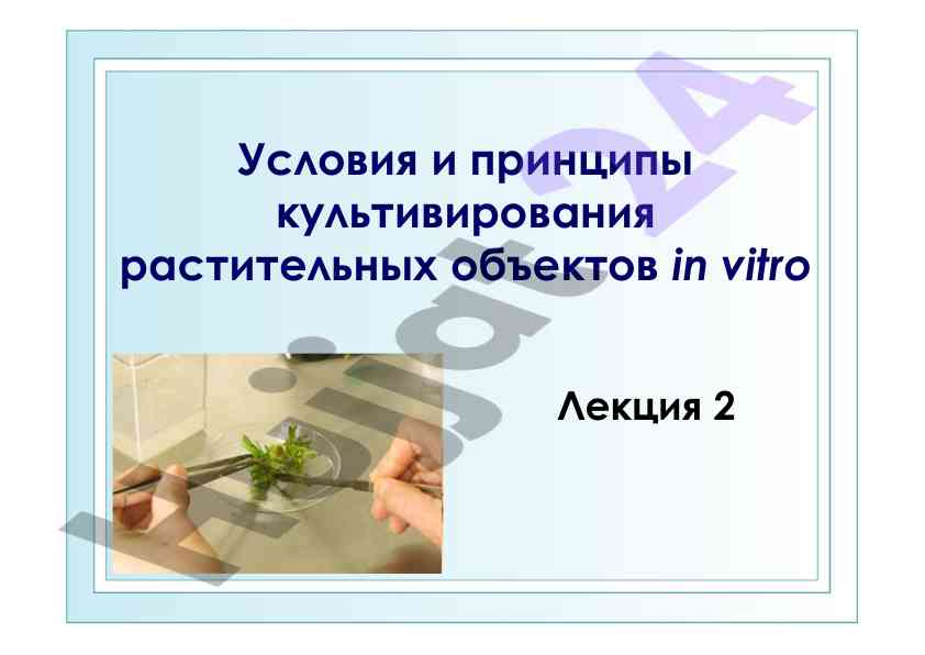 Условия и принципы культивирования растительных объектов
