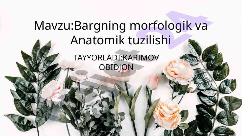 Bargning morfologik va anatomik tuzilishi