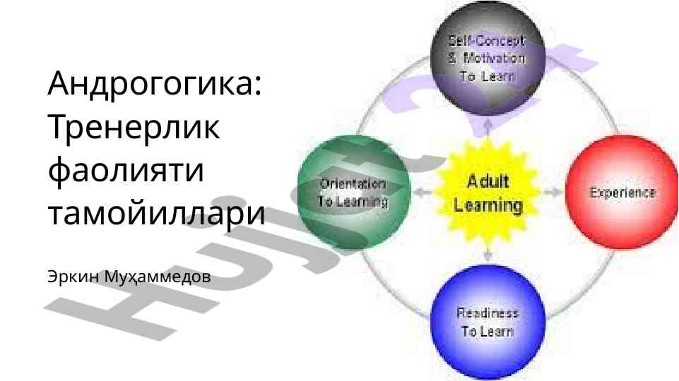Androgogika: trenerlik faoliyati tamoyillari