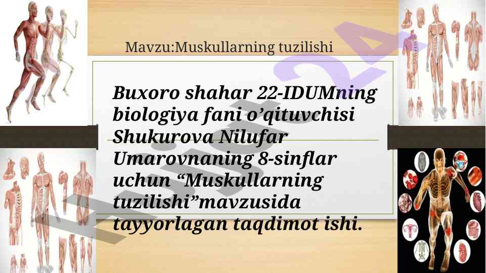 Muskullarning tuzilishi taqdimoti 8-sinflar uchun