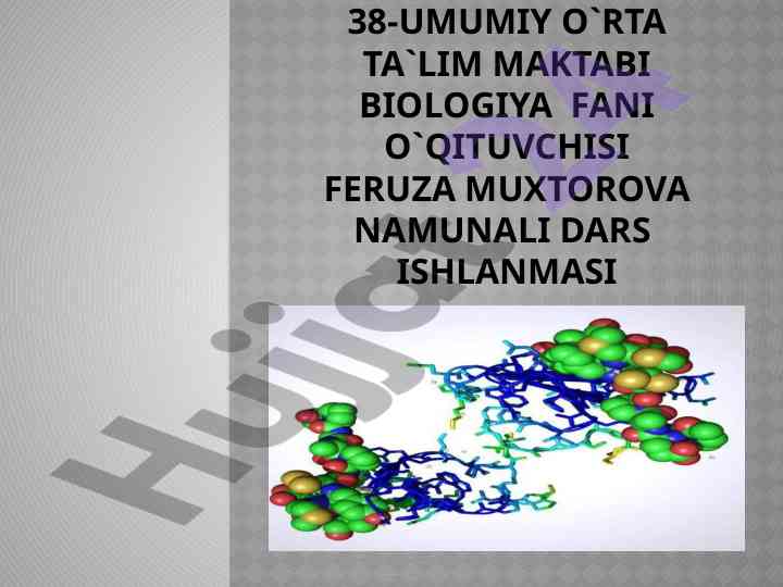 Oqsillar va ularning vazifalari haqida dars ishlanmasi