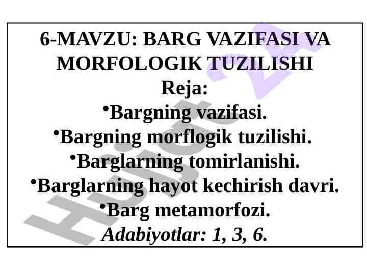 Barg vazifasi va morfologik tuzilishi