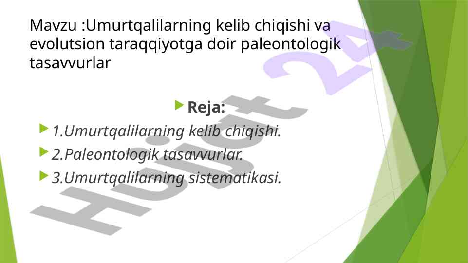 Umurtqalilarning kelib chiqishi va evolutsion taraqqiyot
