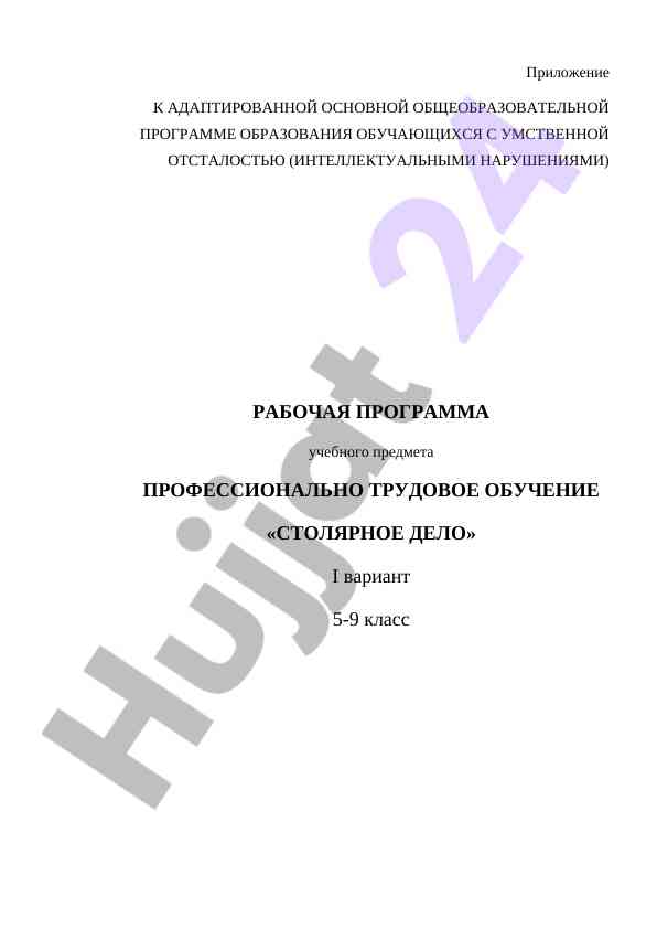 Рабочая программа профессионального трудового обучения