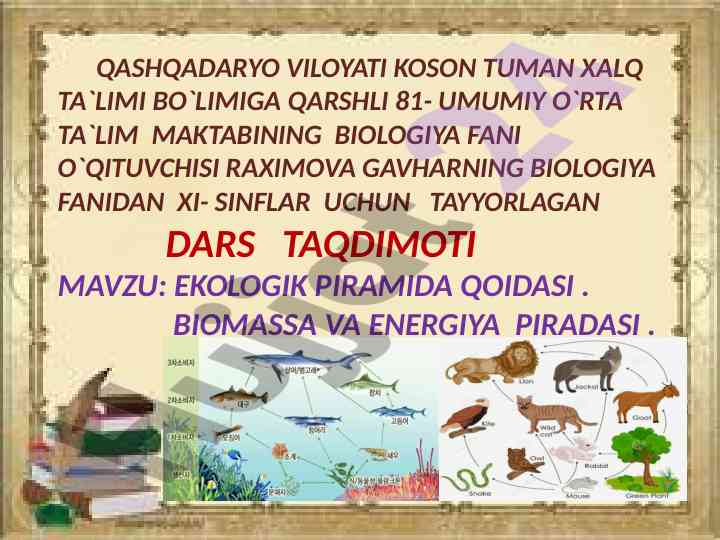 Ekologik piramida va energiya piradasi dars taqdimoti