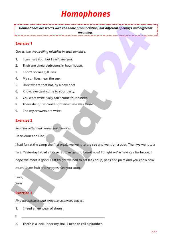 Homophones understanding and correction exercises