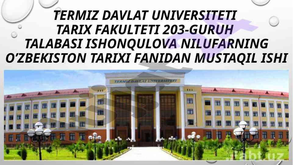Buxoro amirligida mansab va unvonlar tahlili