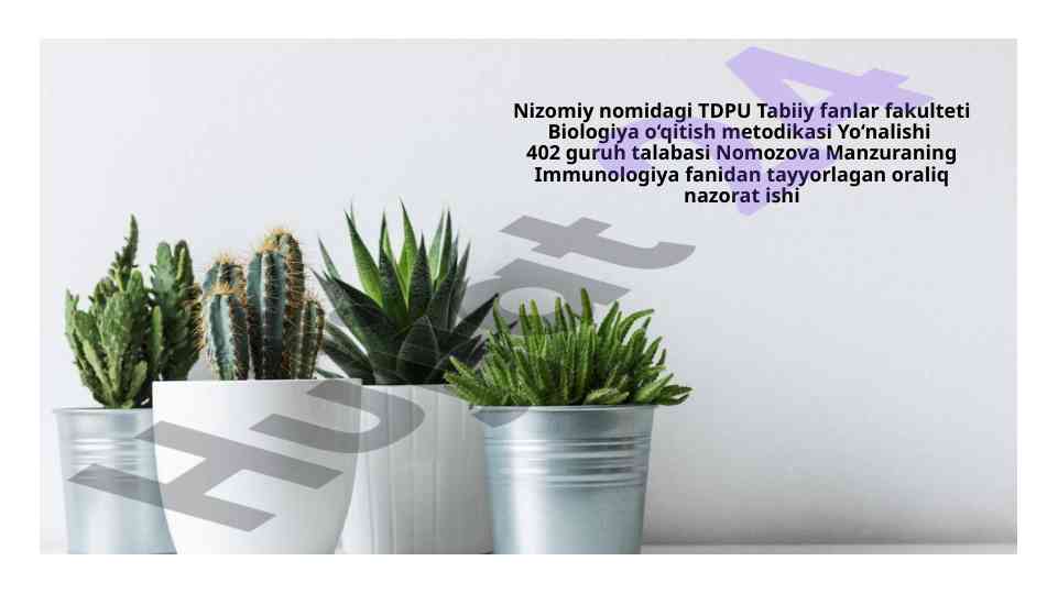 Immun tizimining periferik organlari va tuzilishi