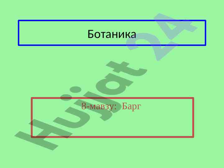 Ботаника: барг морфологияси ва функцияси