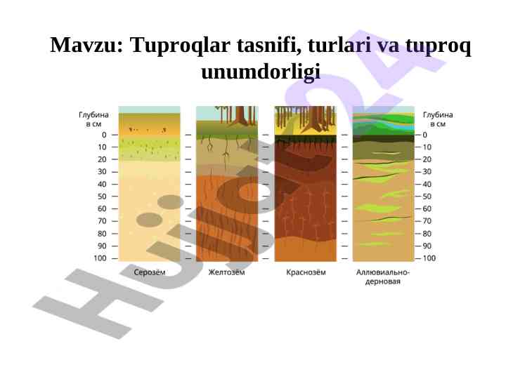 Tuproqlar tasnifi va unumdorligi bo'yicha tahlil