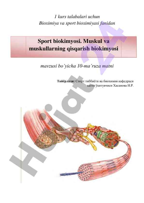 Bioximiya va sport biokimyosi 10-ma'ruza matni