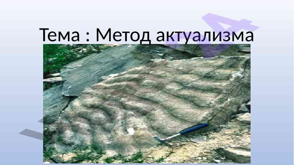 Metod aktualizmi: geologiya va uning asosiy prinsiplari